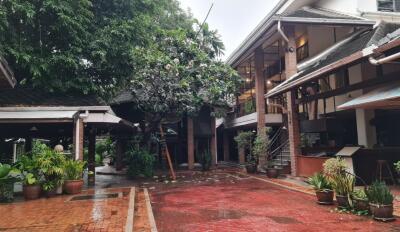 Spacious courtyard with greenery and traditional building architecture