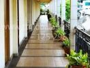 Brightly lit corridor with decorative plants in an apartment complex