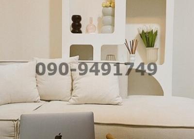 Modern living room interior with white couch and decorative shelving