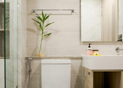 Modern bathroom interior with glass shower and wooden cupboard