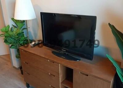 Flat screen TV on a wooden stand with drawers in a living room accompanied by a floor lamp and green plant