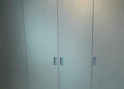 Large built-in wardrobe in a modern bedroom