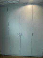 Large built-in wardrobe in a modern bedroom