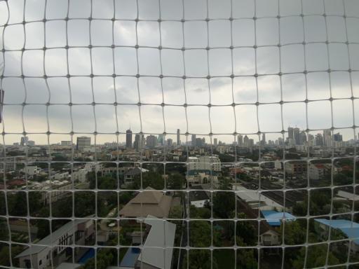 Urban landscape view through window safety net