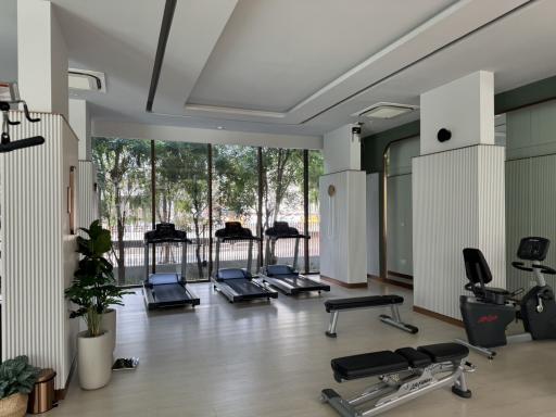 Well-equipped residential gym with multiple exercise machines