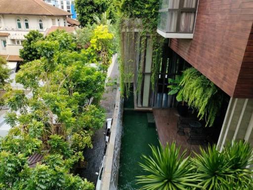 Lush outdoor area with greenery and water feature adjacent to buildings