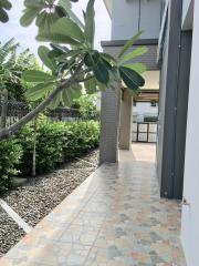 Paved walkway leading to a modern house with green landscaping