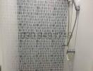 Modern tiled shower with glass door and handheld showerhead