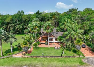 Aerial view of a single-family home surrounded by lush greenery