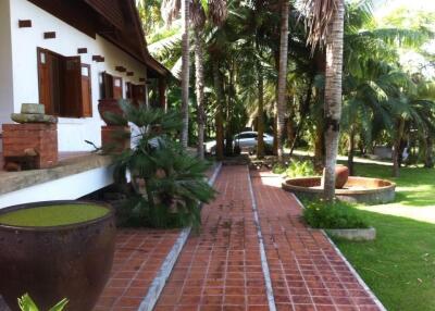 Pathway leading to a house with tropical landscaping
