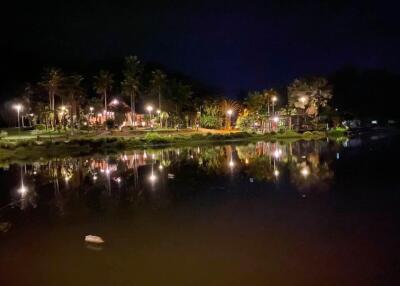 Night view of a landscaped garden with illuminated trees and reflections on water