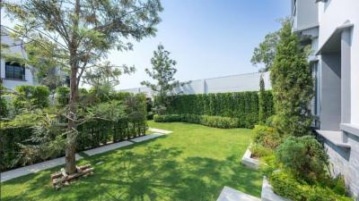 Spacious backyard garden with manicured lawn and lush greenery