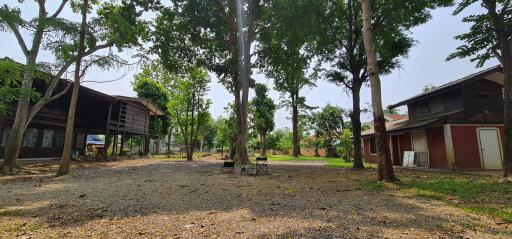 Spacious outdoor area with trees and two buildings