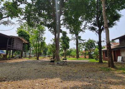 Spacious outdoor area with trees and two buildings