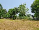 Spacious backyard with green trees and clear skies