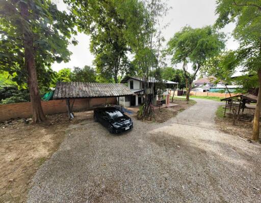 Gravel driveway with a parked car leading to a rural house with trees