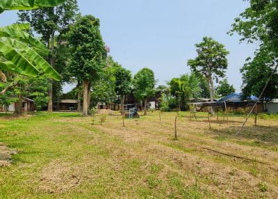 Spacious backyard with greenery and blue sky