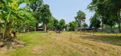 Spacious backyard with greenery and blue sky