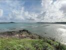 Scenic oceanfront view with grassy foreground and cloudy sky