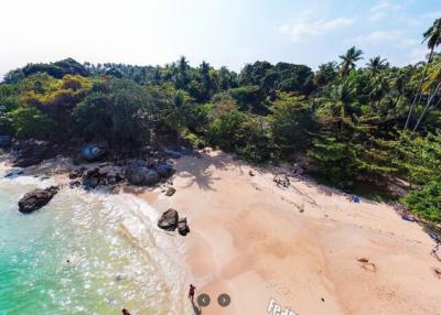 Aerial view of a tropical beachfront with clear blue waters and lush palm trees