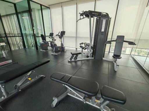 Modern home gym with exercise equipment and panoramic windows