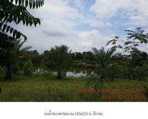 Warehouse + pond, Tha Tako District, Nakhon Sawan Province