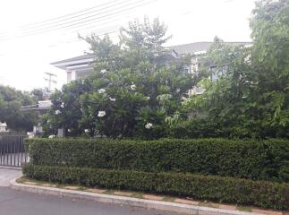 Single house Perfect Masterpiece Rangsit