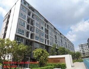 Condo D Condo Kanchanawanit [3rd floor, Building D] swimming pool view.