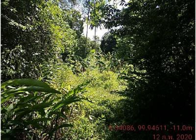 vacant land Koh Samui-Surat Thani