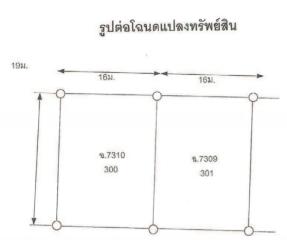 บ้านเดี่ยว บ้านติวานนท์