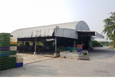 Warehouse Kamphaeng Saen-Nakhon Pathom