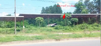 House with business in Kalasin