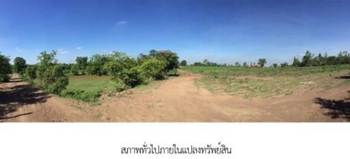 Empty land, Buriram