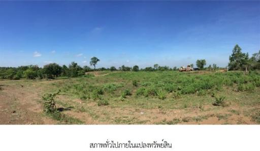 Empty land, Buriram