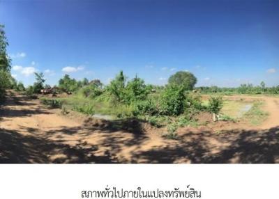 Empty land, Buriram