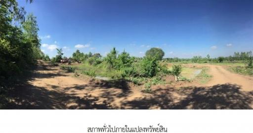 Empty land, Buriram