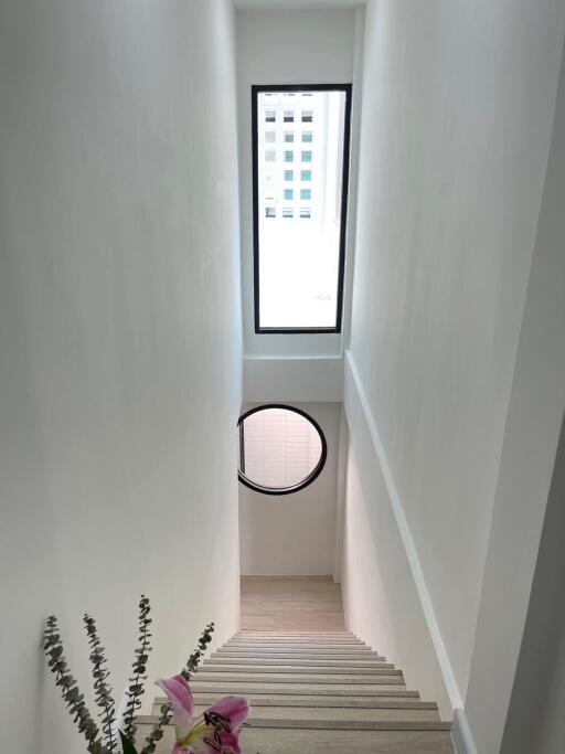 Modern staircase with white walls and wooden steps leading to a bright window