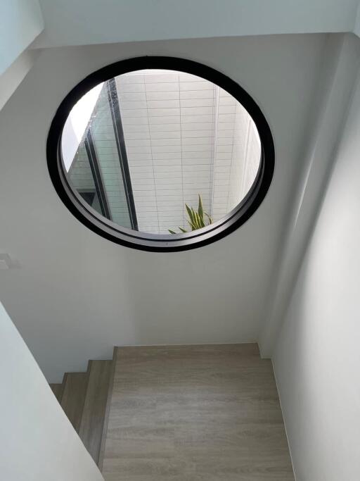 Circular window staircase with view of the outdoors