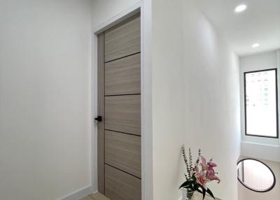 Modern entrance hallway with wooden door and decorative plant