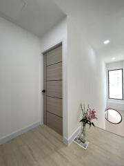 Modern entrance hallway with wooden door and decorative plant