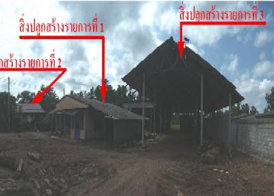 Single house, Pa Phayom-Phatthalung
