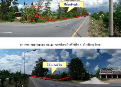 ที่ดินว่างเปล่า ป่าบอน-พัทลุง