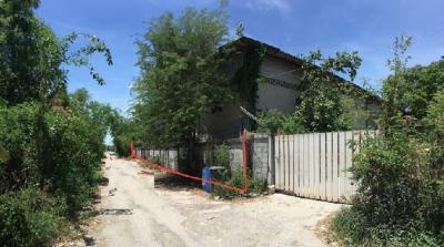 House with business, Pathum Thani