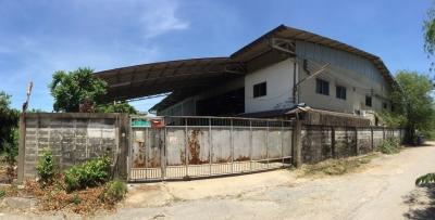 House with business, Pathum Thani