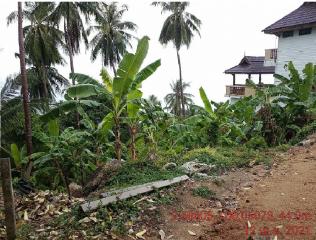 Single house, Koh Phangan-Surat Thani.