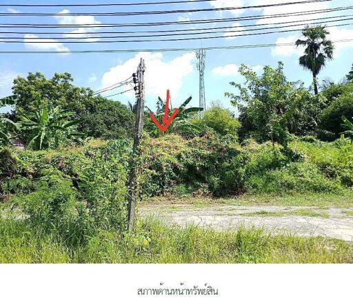 ที่ดินว่างเปล่า กฤษดานคร-แจ้งวัฒนะ [ซ.30 ]