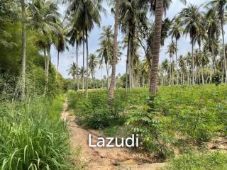 20 Rai Land for Sale Near Rugby School, Khao Mai Kaew