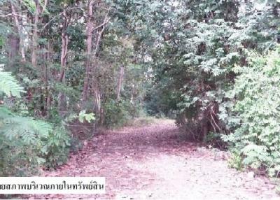 Empty land, Mae Yang Thon, Phrae