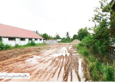 Empty land, Bueng Kan