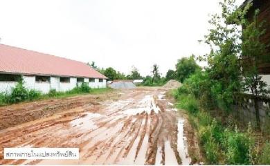 Empty land, Bueng Kan